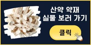 산약 약재 실물 보러 가기