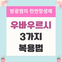 방광염의 천연항생제 우바우르시 3가지 복용법