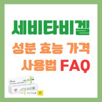 세비타비겔 효능 사용법 FAQ