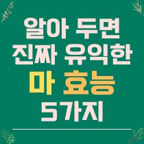 알아 두면 유익한 마 효능 5가지