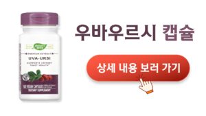 우바우르시 캡슐 상세 내용 보러 가기
