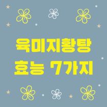 육미지황탕 효능 7가지