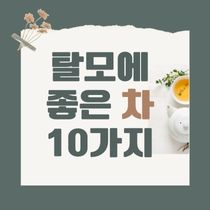 탈모에 좋은 차 10가지