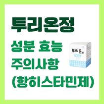 투리온정