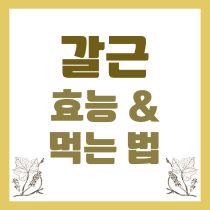 갈근 효능과 먹는 법