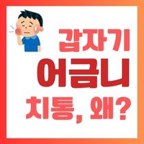 갑자기 어금니 치통