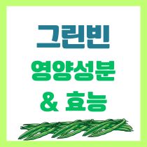 그린빈 영양성분과 효능