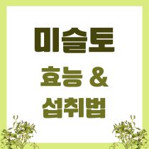 미슬토 효능
