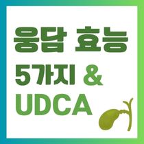 웅담 효능