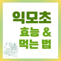 익모초 효능