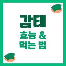 감태 효능