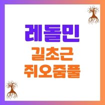 레돌민 길초근 쥐오줌풀