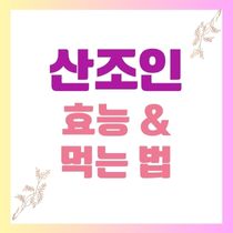 산조인 효능