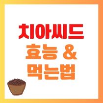 치아씨드 효능