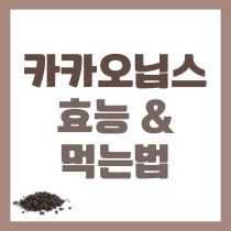 카카오닙스 효능