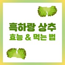 흑하랑 상추 효능