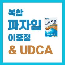 UDCA 복합파자임이중정