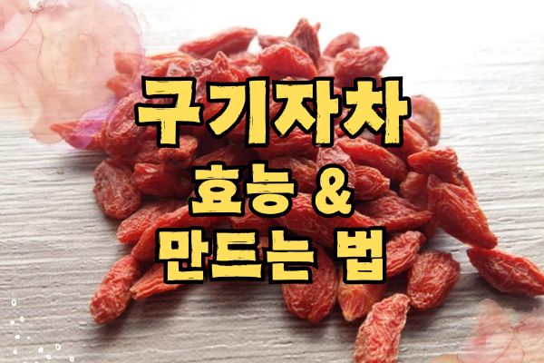 구기자 효능