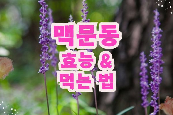 맥문동 효능