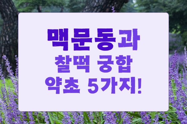 맥문동과 궁합이 좋은 약초