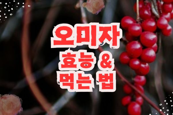 오미자 효능