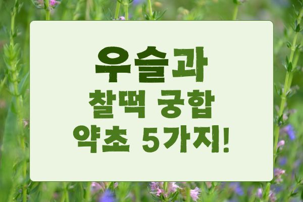 우슬과 궁합이 맞는 약초