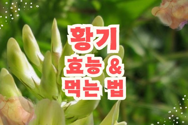 황기 효능