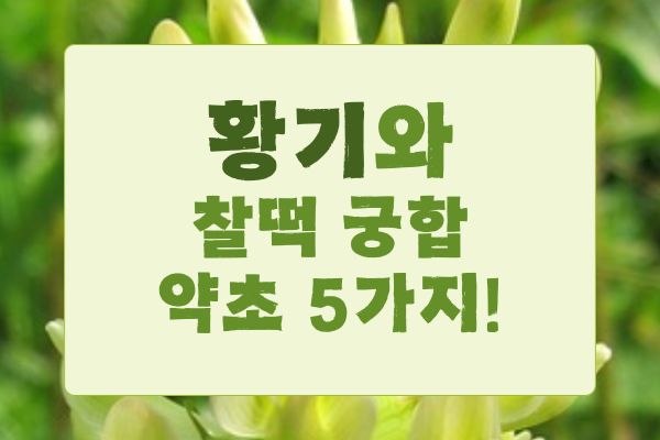 황기와 찰떡 궁합