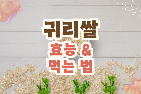 귀리쌀 효능
