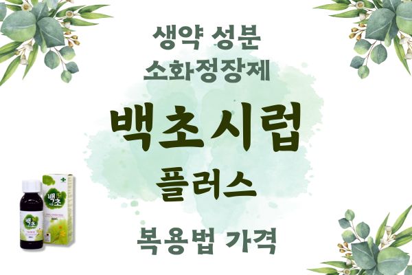 백초시럽 플러스