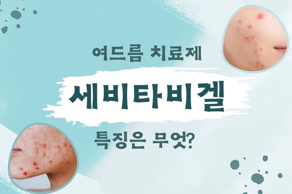 세비타비겔 성분