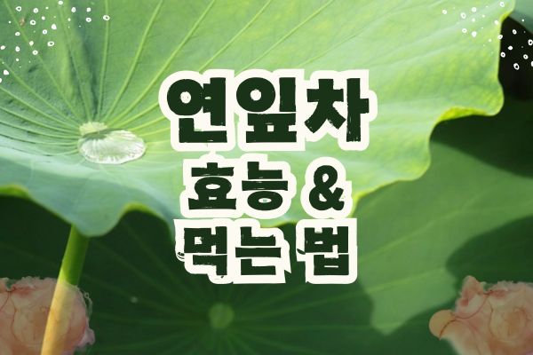 연잎차 효능