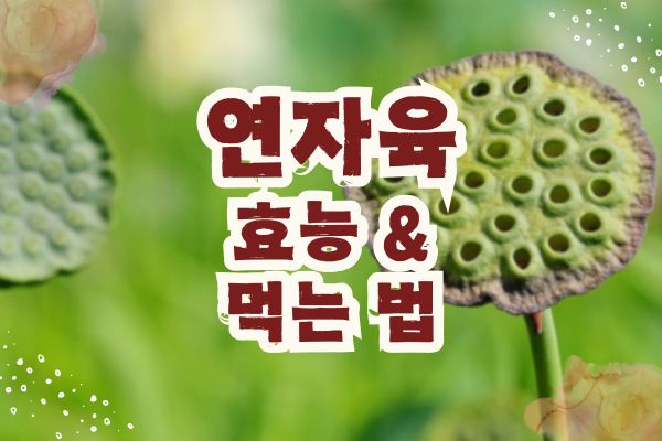 연자육 효능