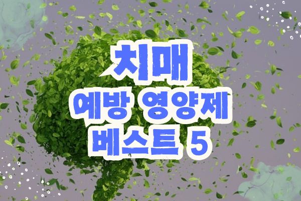 치매 예방 영양제