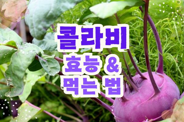 콜라비 효능