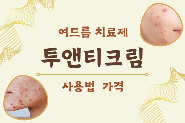 투앤티크림
