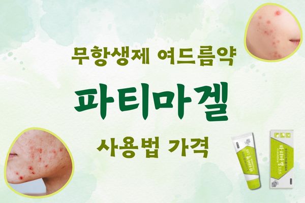 파티마겔