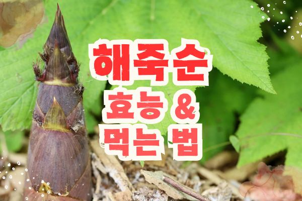 해죽순 효능