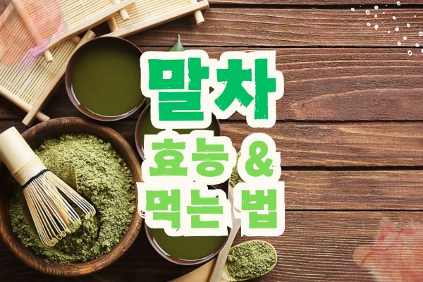말차 효능