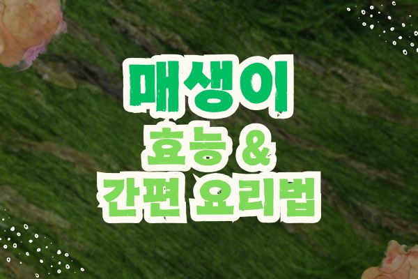 매생이 효능