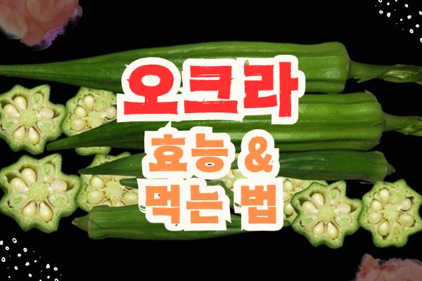 오크라 효능