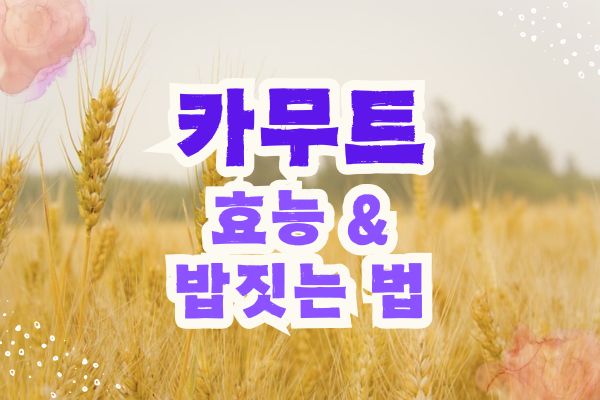 카무트쌀 효능