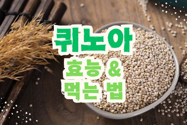 퀴노아 효능