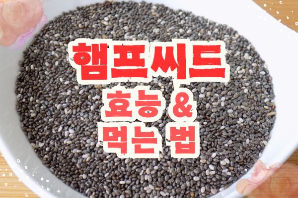 햄프씨드 효능