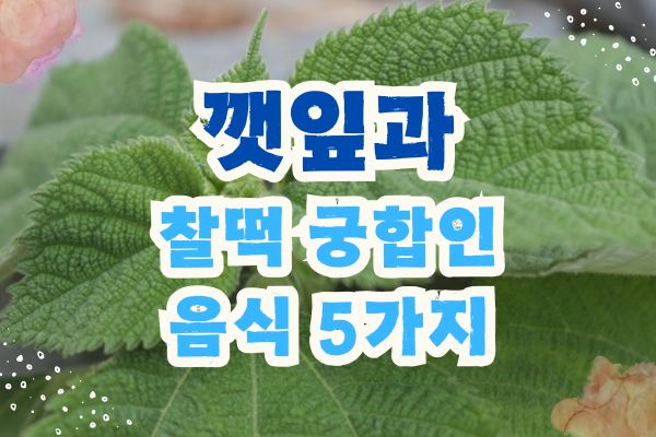 깻잎 효능