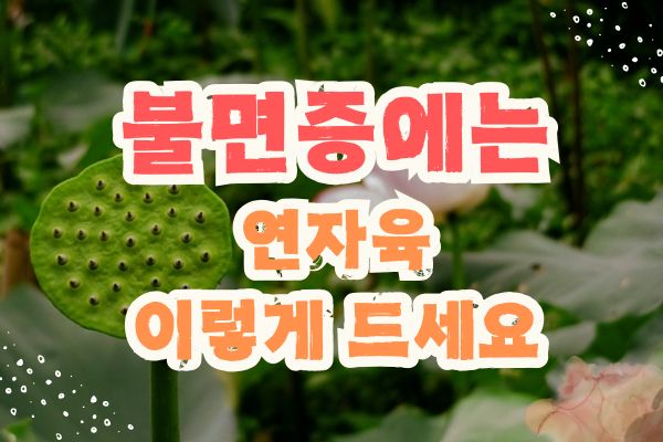 불면증에 좋은 연자육 성분