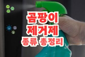 곰팡이 제거제