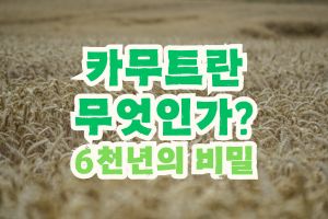 카무트란 무엇인가
