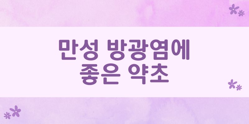 만성 방광염에 좋은 약초