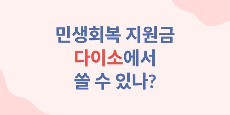 민생지원금 다이소